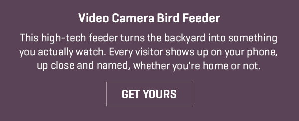 Your new favorite notification: our Video Camera Bird Feeder