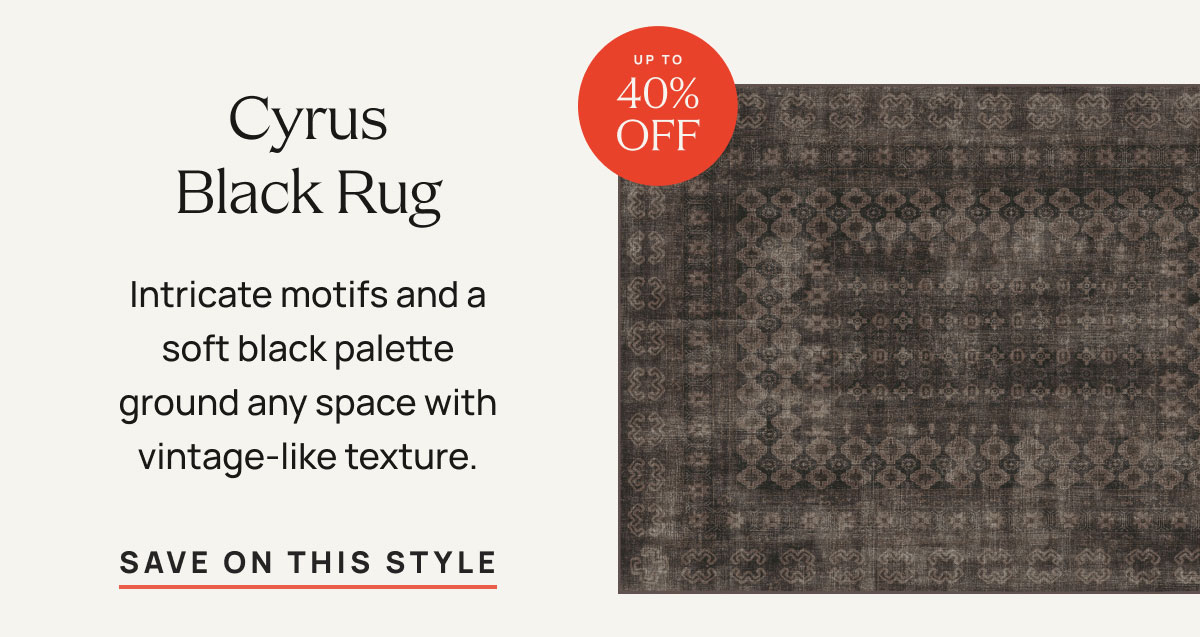 Cyrus Black Rug | Save On This Style