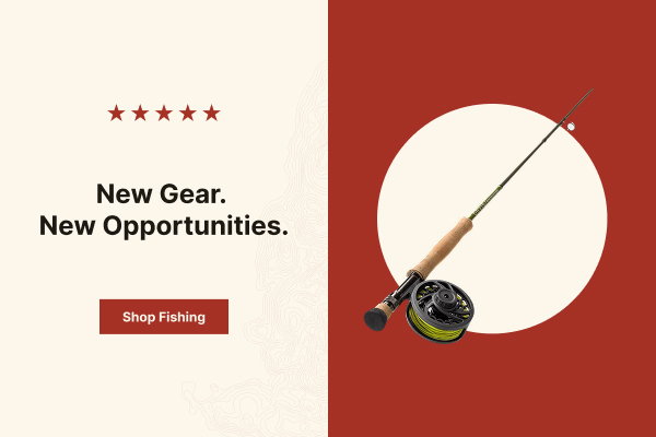 Shop Fishing