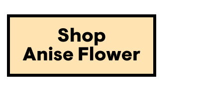 Shop Anise Flower