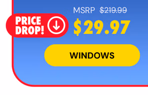 Microsoft Office Professional 2021 for Windows: Lifetime License