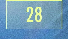 28