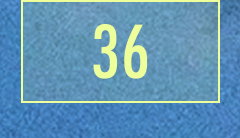 36