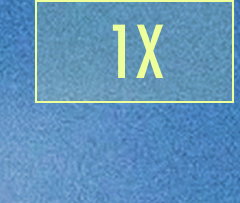 1X