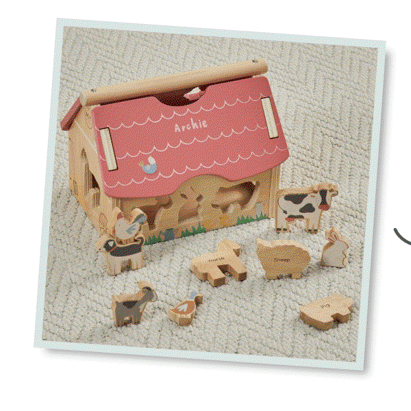 Stacking & Sorter Toys