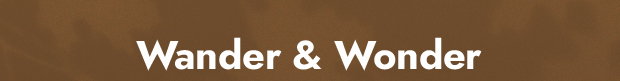 Wander & Wonder