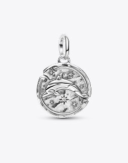 Dolphin Medallion Charm