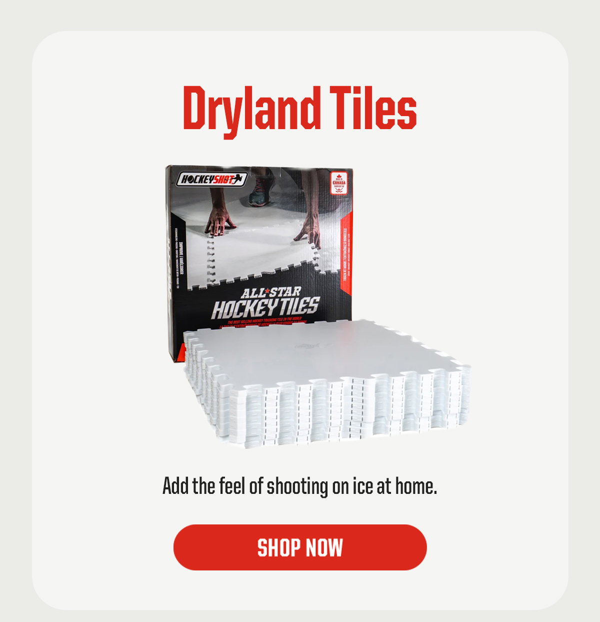 Product Block 1: Dryland Tiles. Add the feel of shooting on ice at home. CTA: Shop Now