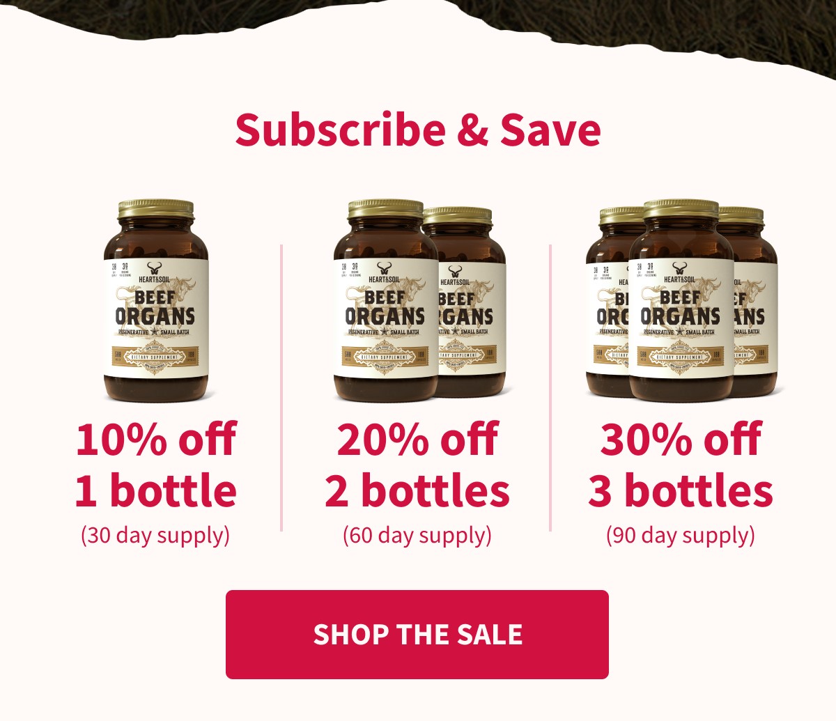 Subscribe & Save | Shop The Sale 