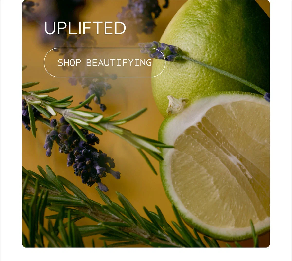 UPLIFTED | SHOP BEAUTIFYING
