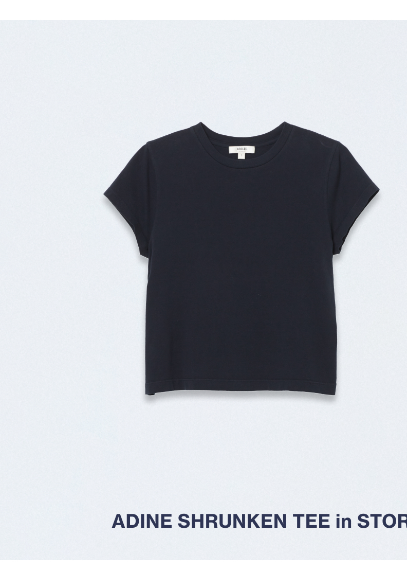Adine Shrunken Tee in Storm / Arc Jean 32" in Central