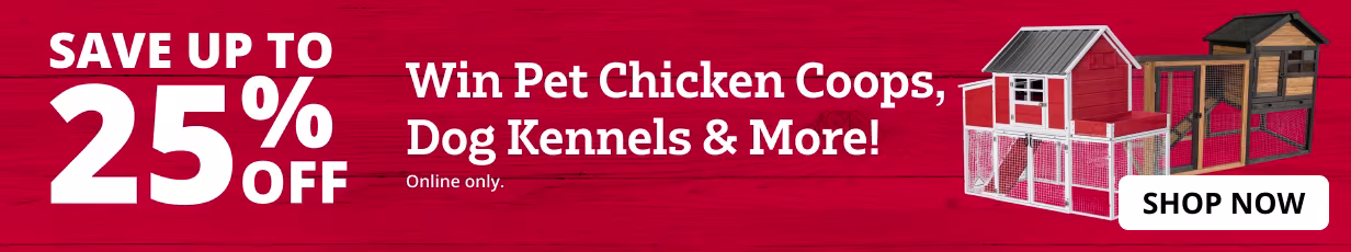 25% off chicken coops