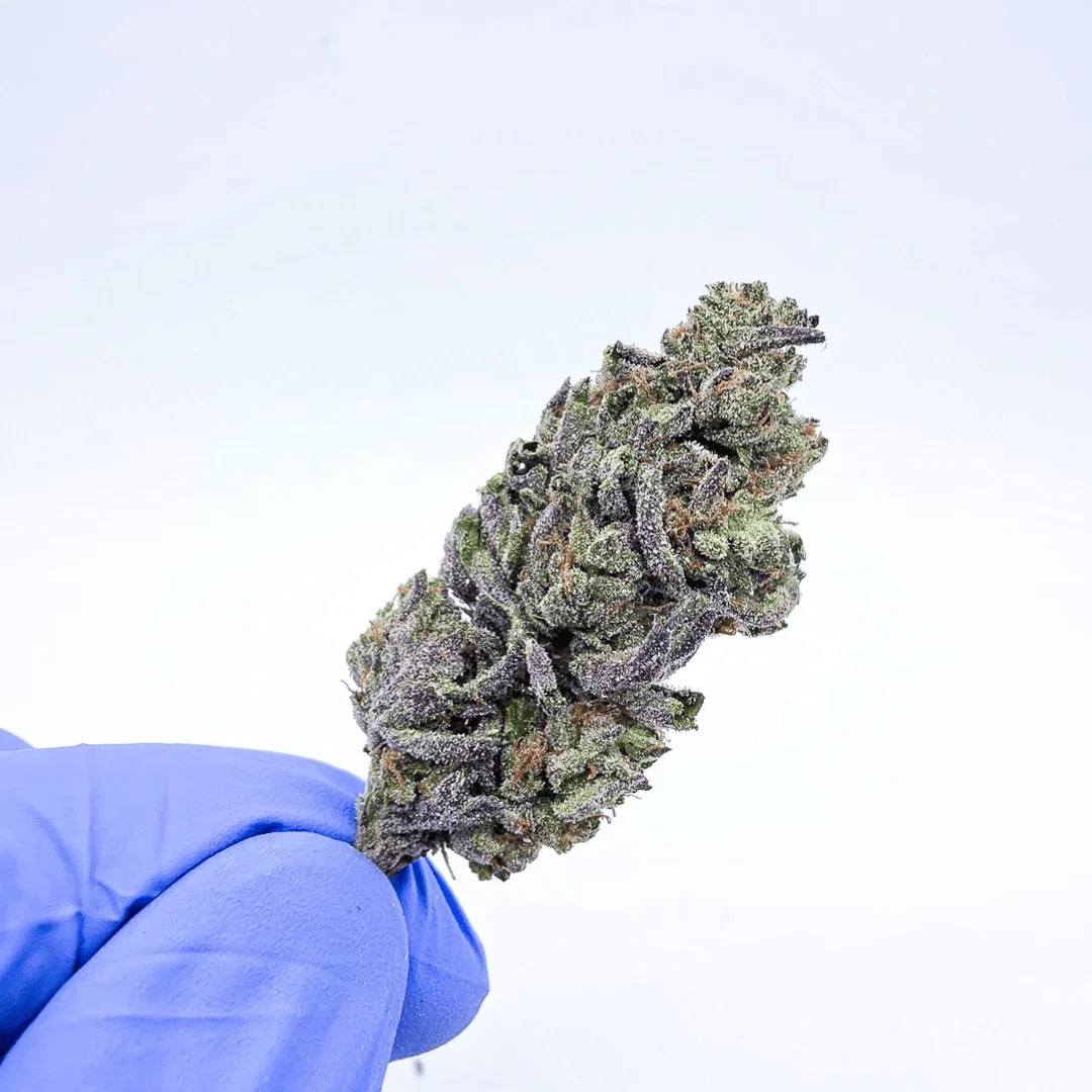 Image of *Private Reserve* AA Grade Lemon Cherry Gelato THCa Flower