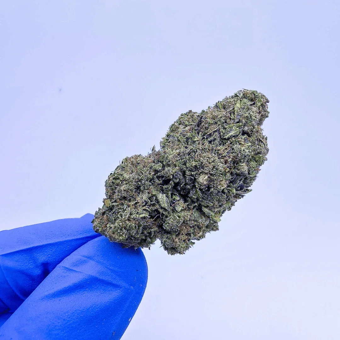 Image of *Private Reserve* AA Unicorn Runtz THCa Flower