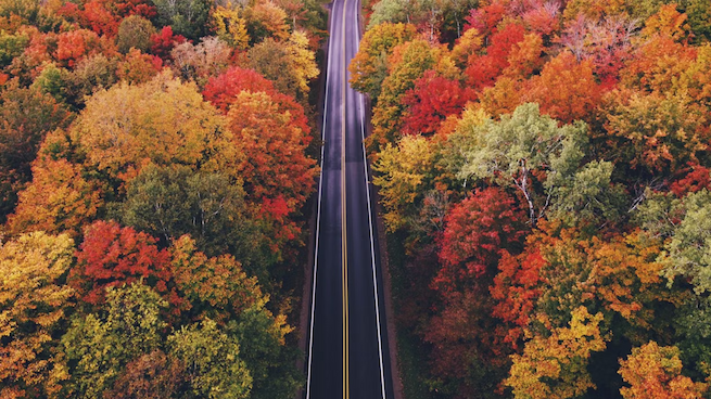 Long shot of fall colors along rural road