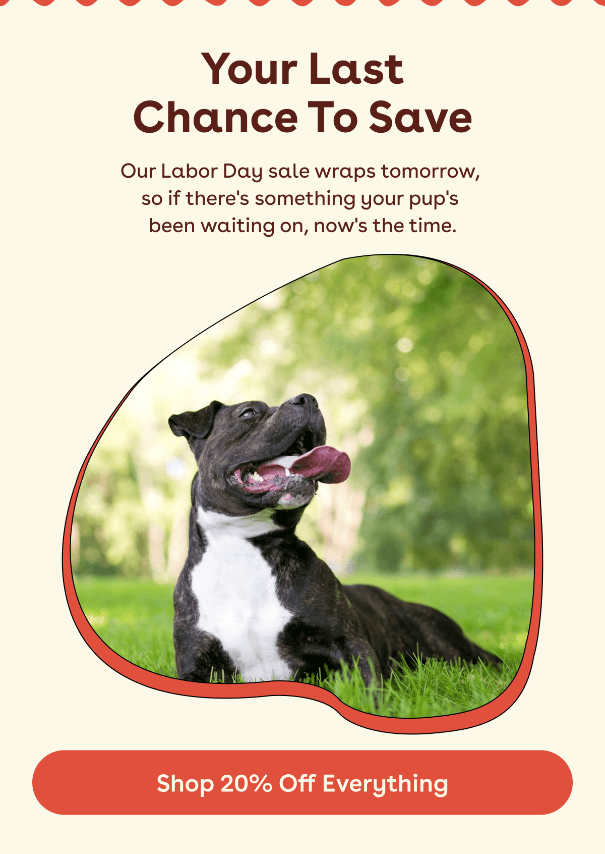 Our Labor Day sale wraps tomorrow,  so if there's something your pup's  been waiting on, now's the time.