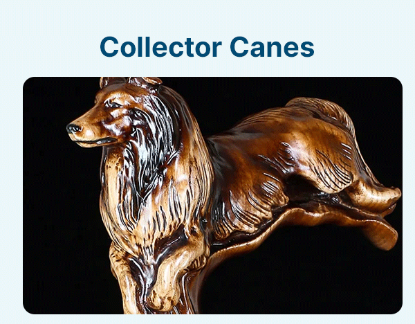 Collector Canes