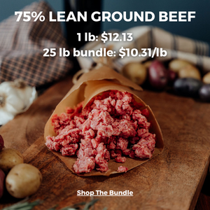 75% Lean Ground Beef Bundle