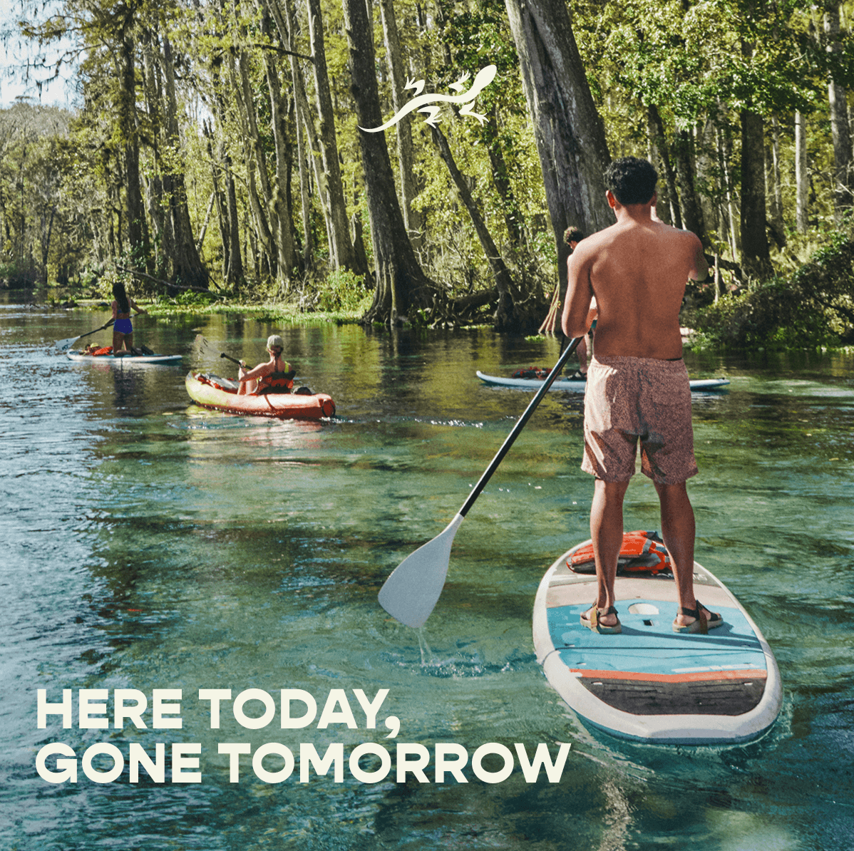 Chaco - Here today, Gone tomorrow