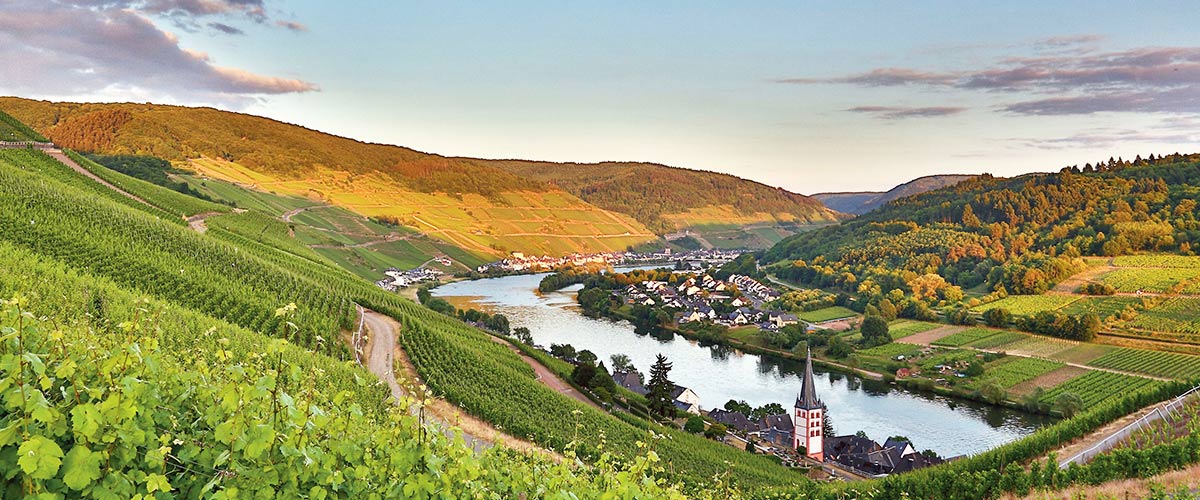 Castles & Vineyards of the Rhine & Moselle