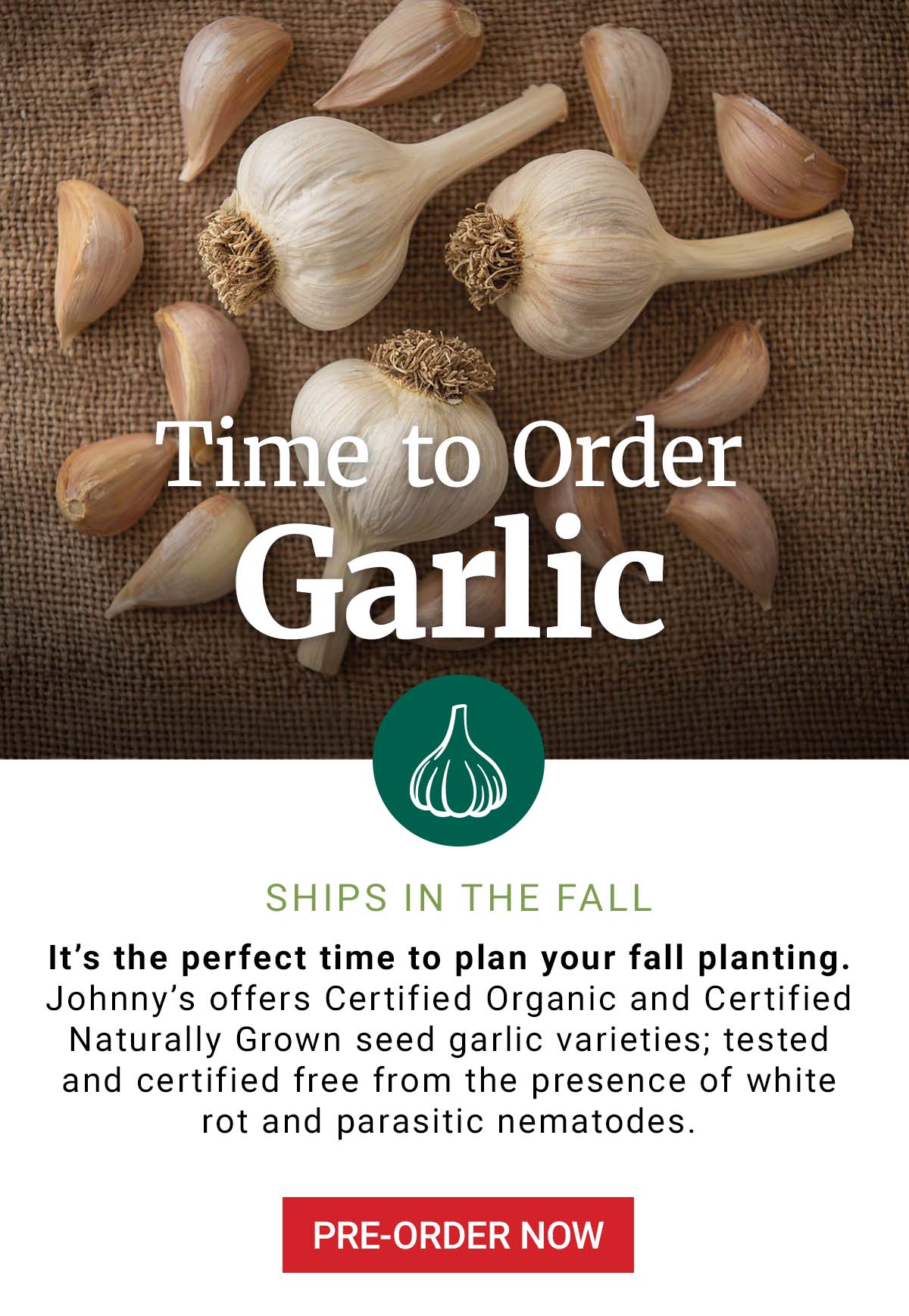 Order Garlic Early for the Best Selection - Pre-Order Now