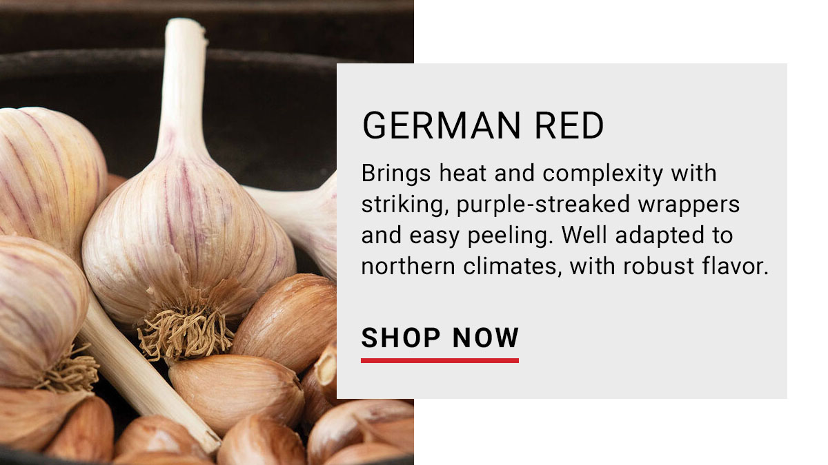 German Red: Spicy Kick. Rich color. Strong Finish.
