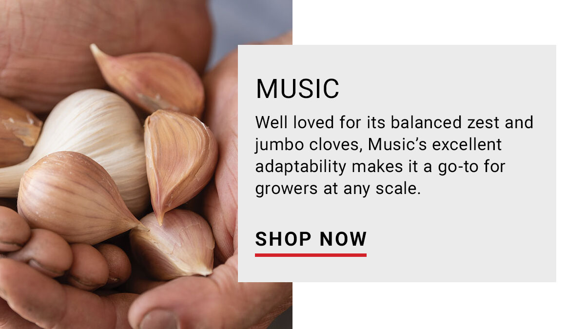 Music: Reliable. Flavorful. Customer Favorite.