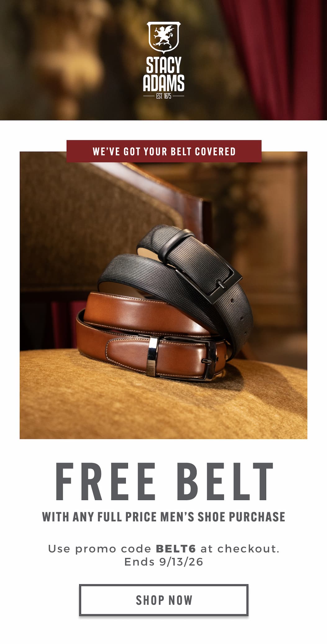 Free belt with any full men's shoe purchase. Use promo code BELT6. Display images to learn more.