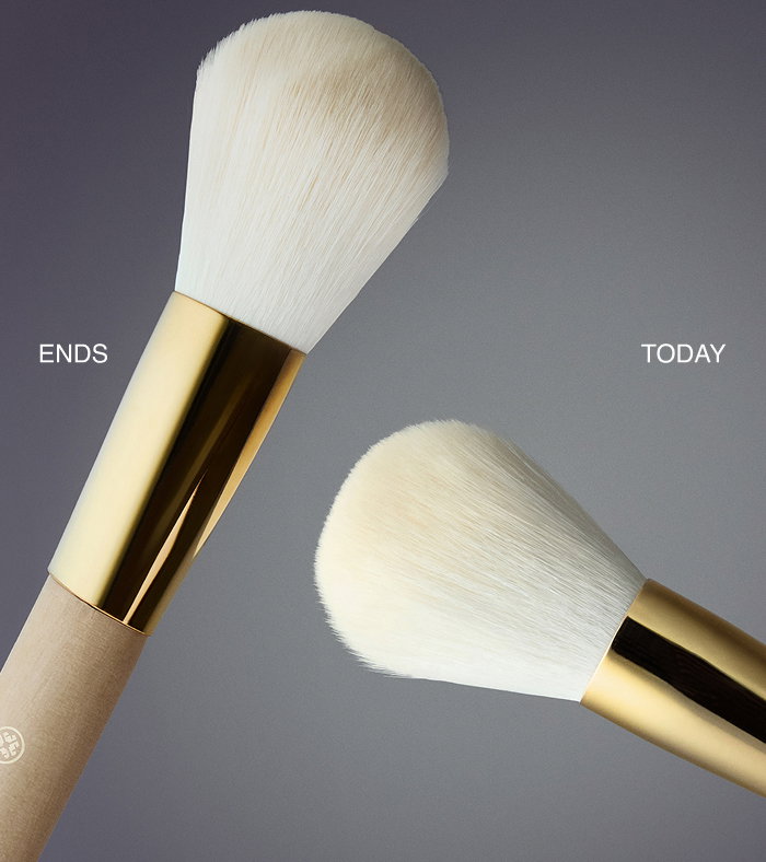 An image of The Powder Brush by Tatcha