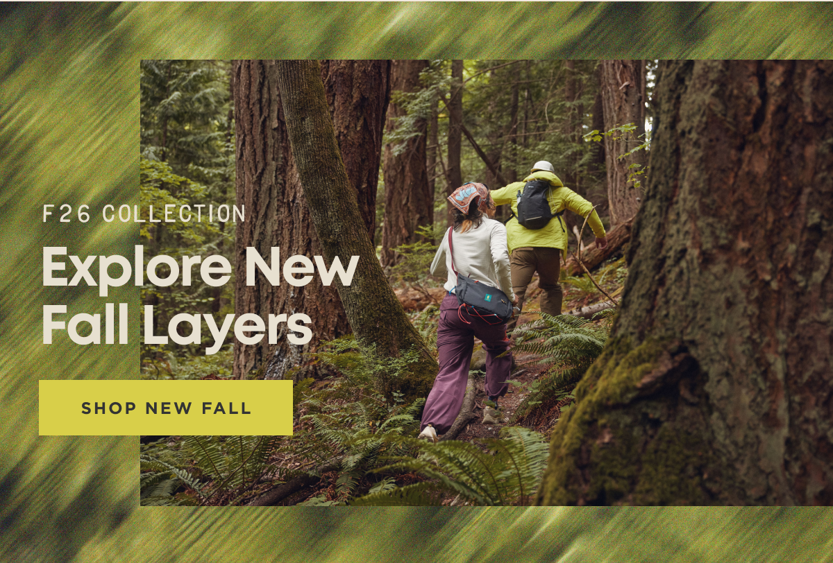 Shop Fall