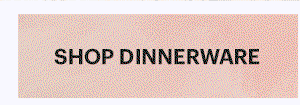 SHOP DINNERWARE