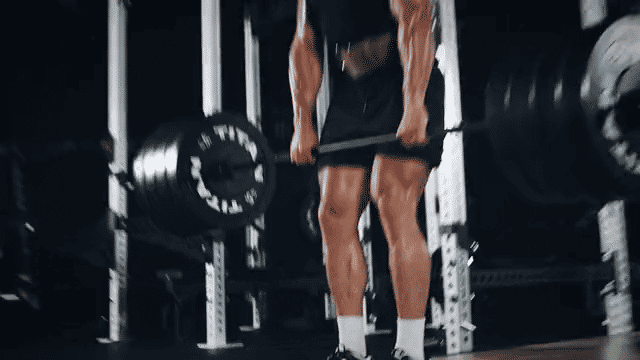 Titan Fitness Economy Black Bumper Plates
