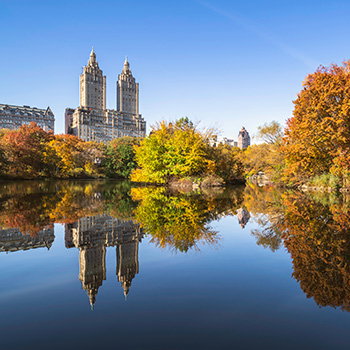 New York, New York