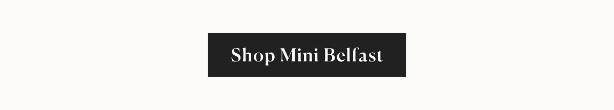 shop mini belfast
