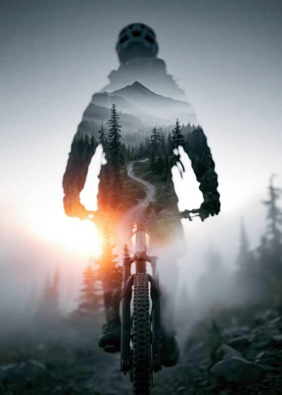 Displate Metal Posters