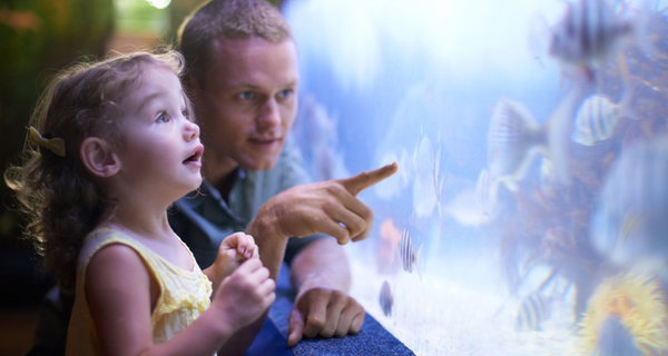 Explore an Underwater World with New York Aquarium Admission in NYC