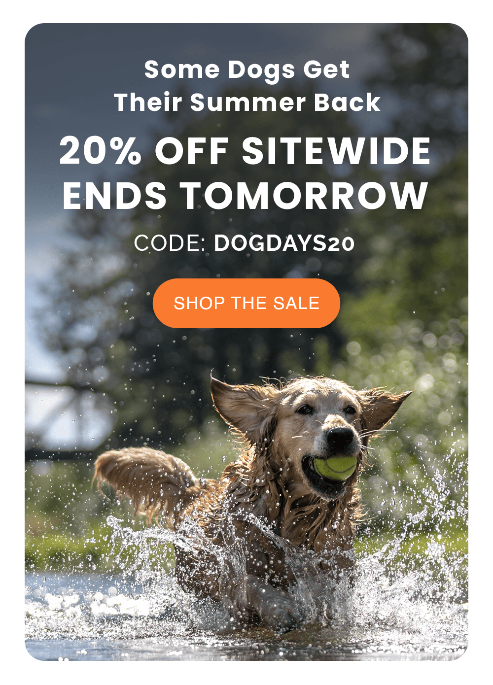Some Dogs Get Their Summer Back. 20% OFF SITEWIDE ENDS TOMORROW. CODE: DOGDAYS20