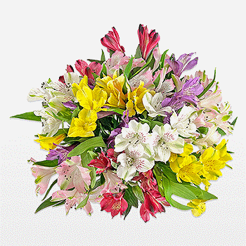 Deluxe Garden Bunch