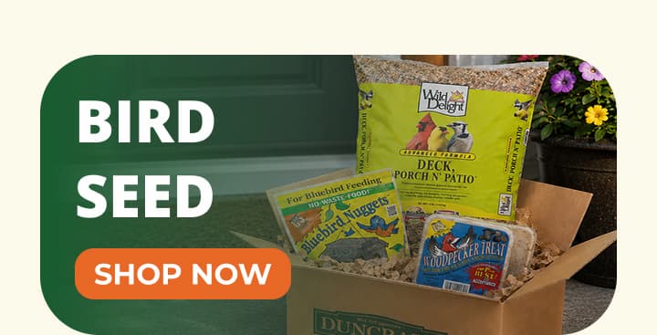 BIRD SEED