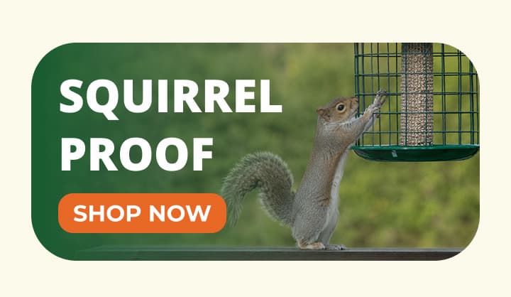 SQUIRREL PROOF