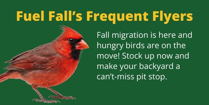 Fuel Fall’s Frequent Flyers