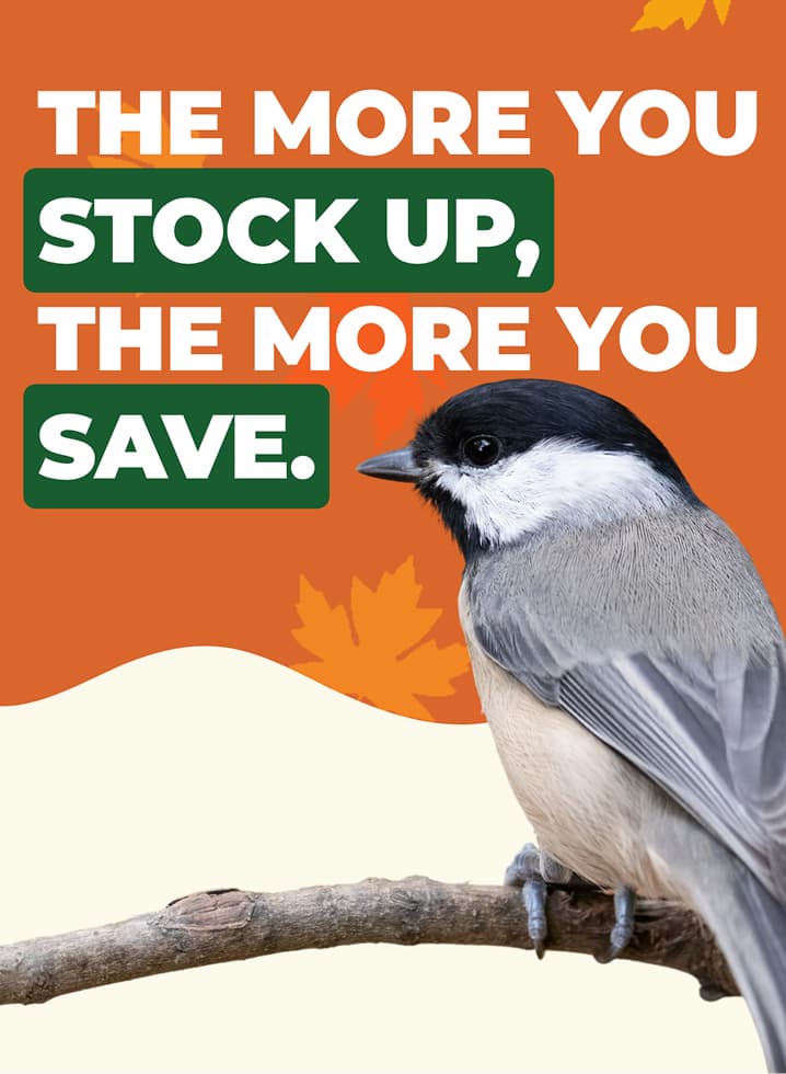 the more you stock up, the more you save