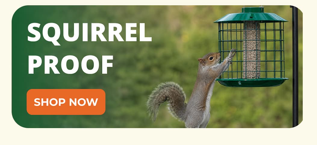 SQUIRREL PROOF