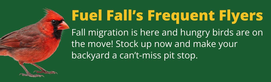 Fuel Fall’s Frequent Flyers