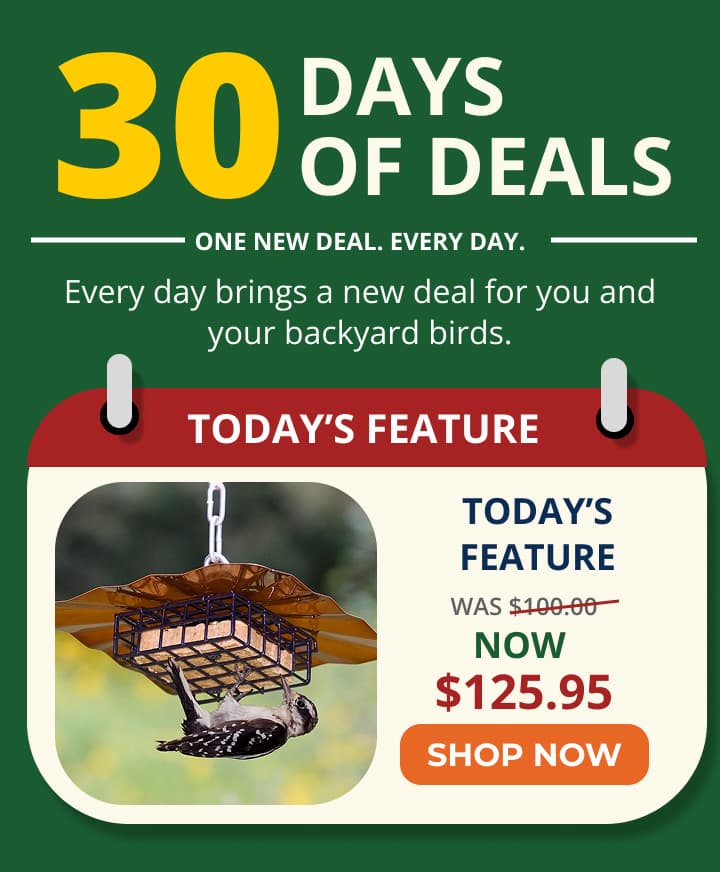 DAYS OF DEALS