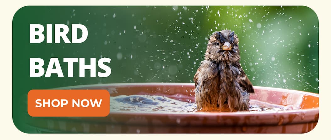 BIRD BATHS
