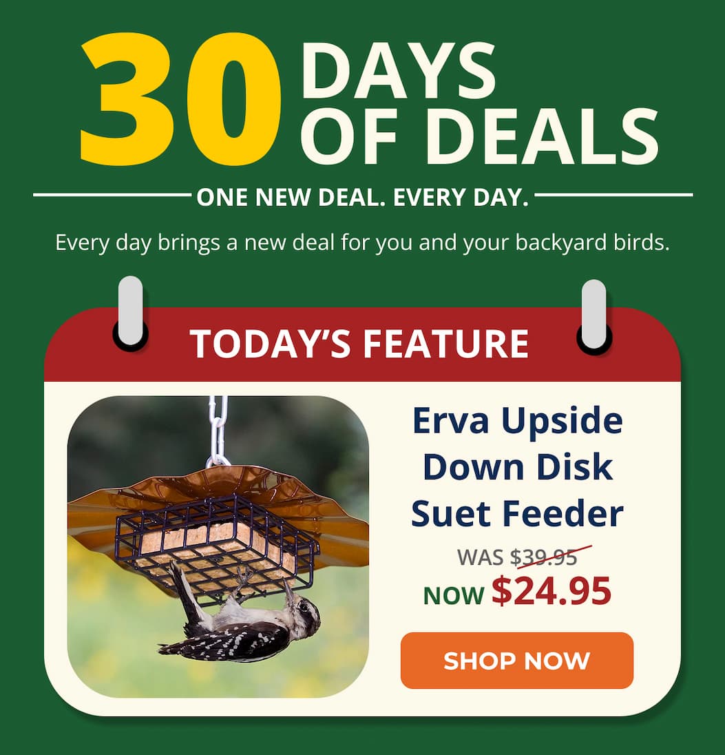 DAYS  OF DEALS