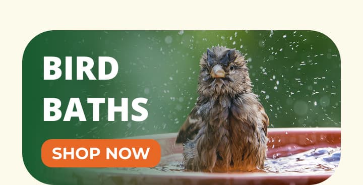BIRD BATHS