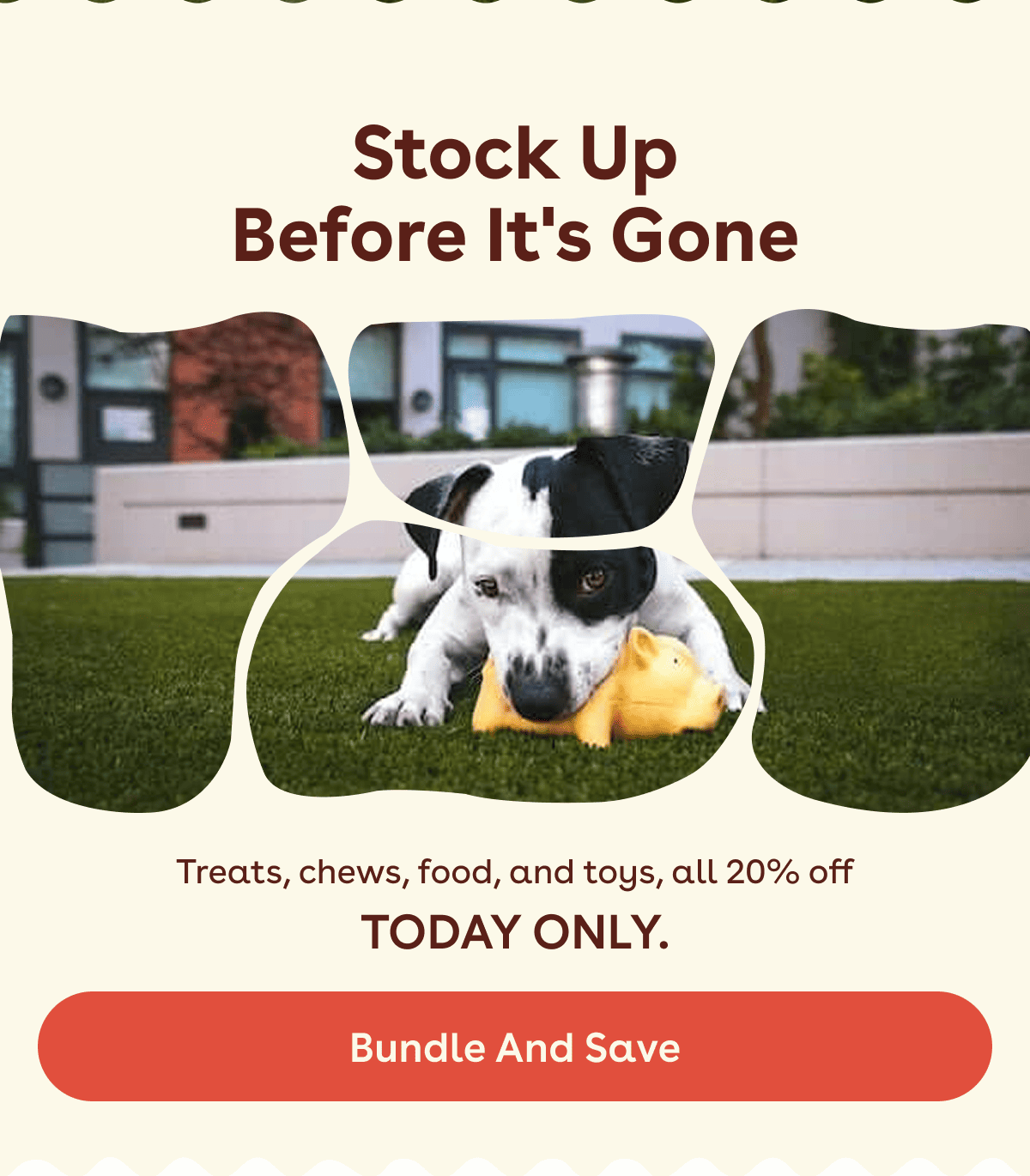 Treats, chews, food, and toys, all 20% off today only.