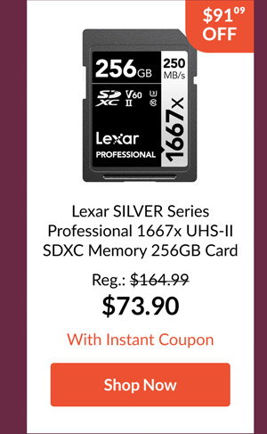 Lexar SILVER Series Professional 1667x UHS-II SDXC Memory 256GB Card
